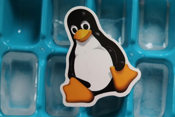 Linux in plain words